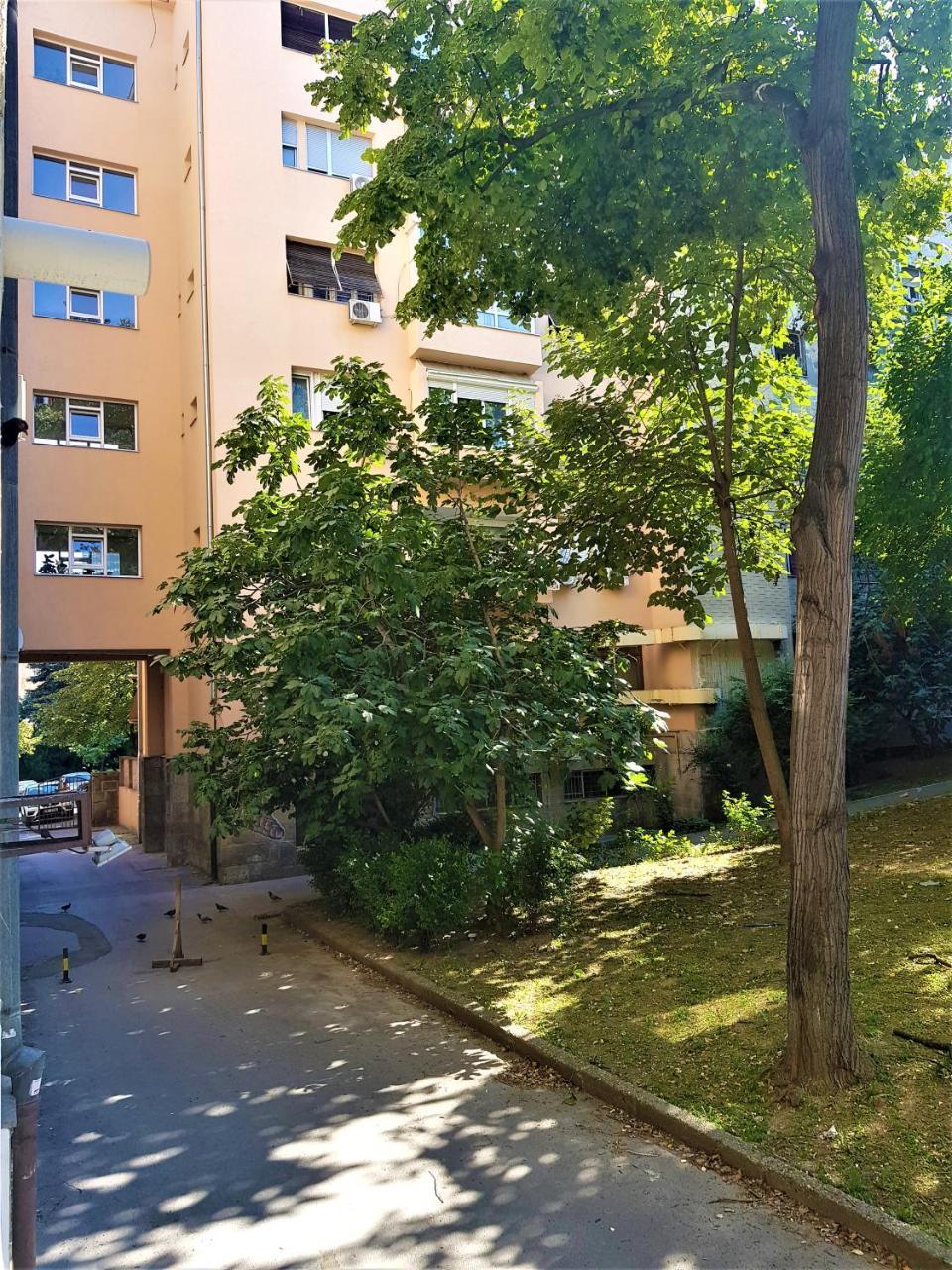 Asya Blue Apartment Beograd Eksteriør billede